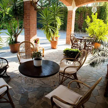 Cornarea Летний дом