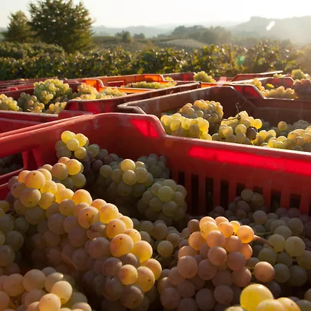 Country house Cornarea Canale