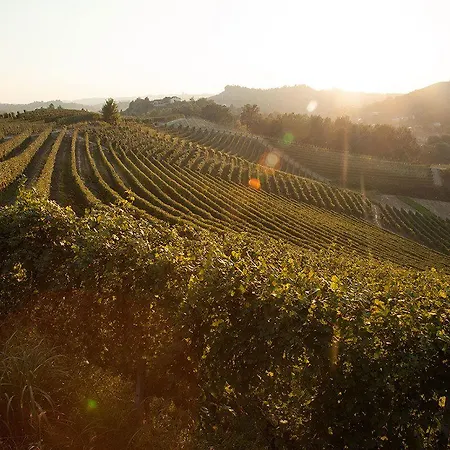 Cornarea * Канале