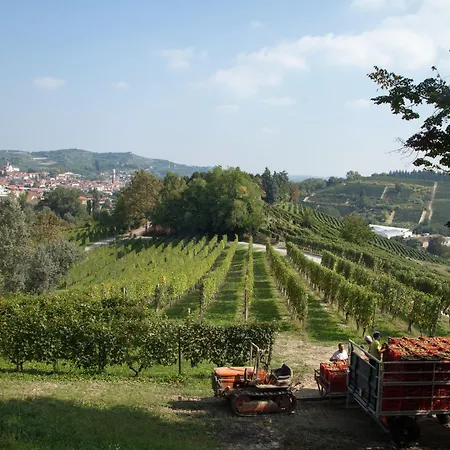 Cornarea Летний дом