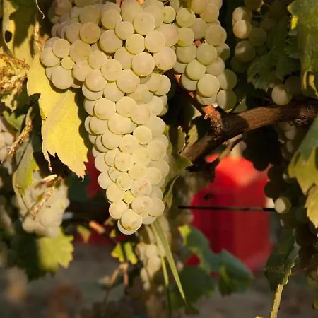 Cornarea Country house